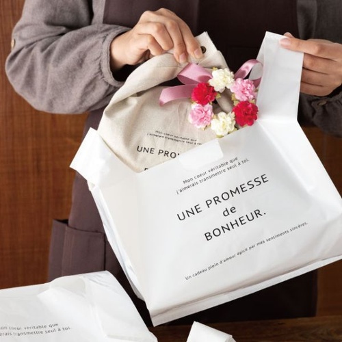 レジ袋 ボヌールレジバッグ 0.05mm-DL(100枚) ヘッズ