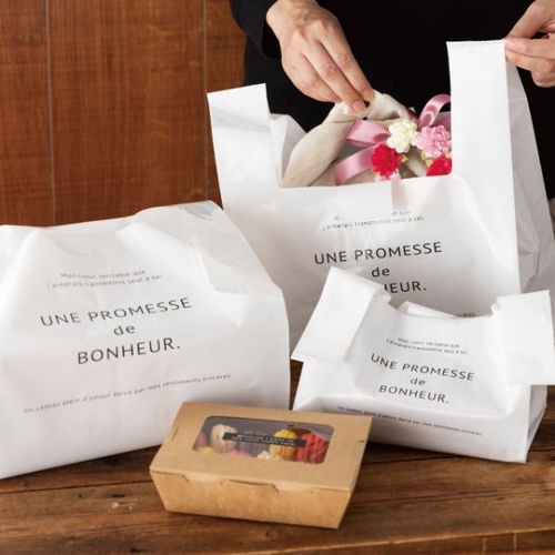 レジ袋 ボヌールレジバッグ 0.05mm-DL(100枚) ヘッズ