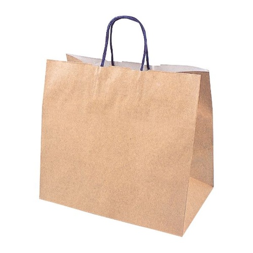 手提げ袋 ジ・アース L 石渡