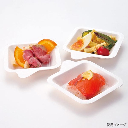 パルプモールド 環境良品ミニプレート角 8枚入 アートナップ