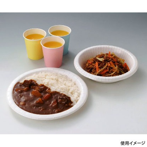 紙皿 WB丈夫な紙皿 26cm 4枚入 アートナップ