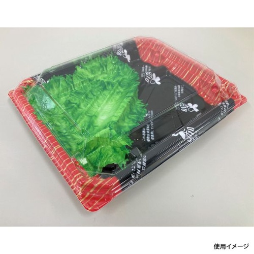 シーピー化成 弁当容器 BFNアルバ8S-1平 滝縞L-B 本体