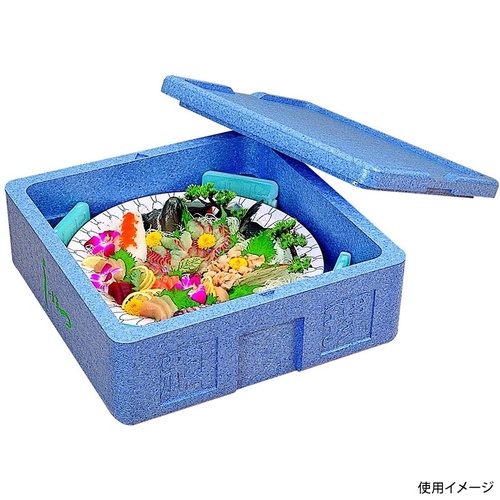 保冷剤 デリバリーコンテナ蓄冷剤CAH-200