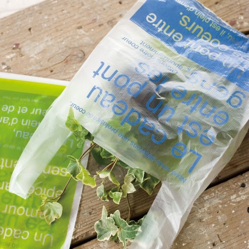 レジ袋 ニューブルー＆グリーンレジバッグ-M(100枚) ヘッズ