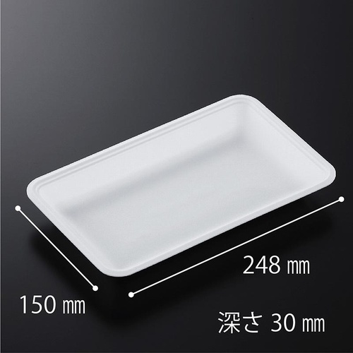 発泡トレー CN25-15F (L) 中央化学