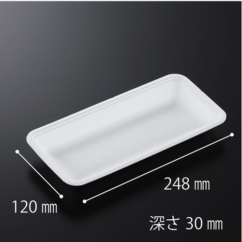 発泡トレー CN25-12F (L) 中央化学