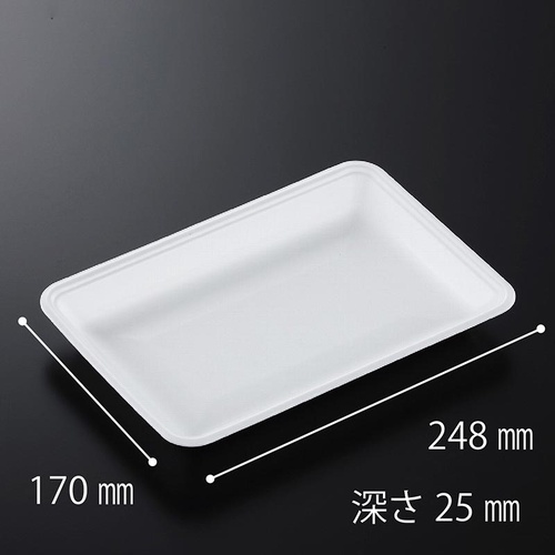 発泡トレー CN25-17E (L) 中央化学