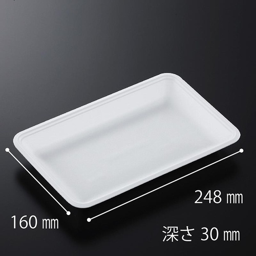 発泡トレー CN25-16F (L) 中央化学