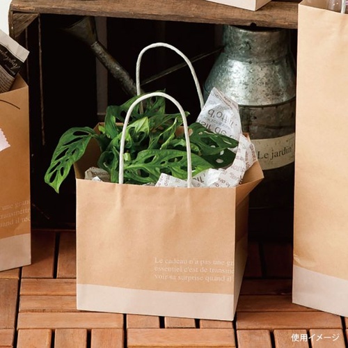 紙手提袋 FR-4P フレンチクラフトペーパーバッグ-4 10枚入 ヘッズ