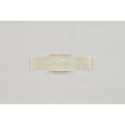 軽食容器 紙竹皮 No.2 福助工業