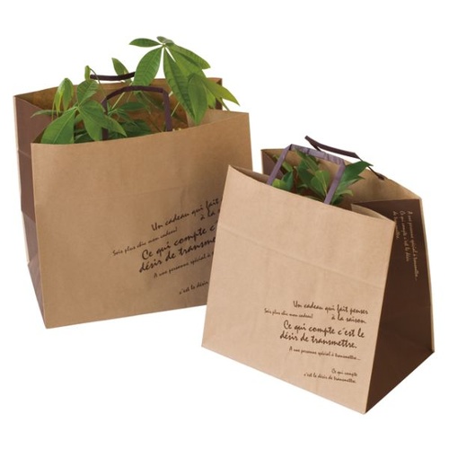 紙手提袋 BKFブラウンペーパーバッグ-M(50枚) ヘッズ