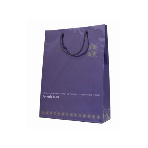 【廃番商品】紙手提袋 エリートDX NO.19 マツシロ