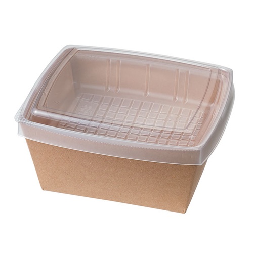 弁当容器 デリメイトTS145 クラフト 協和パック