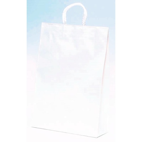紙手提袋 ST2才 白無地 パックタケヤマ