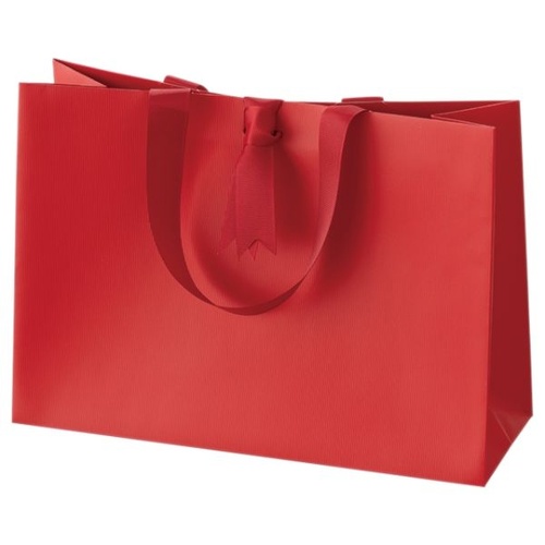 紙手提袋 ギフトレッドハンドル付キペーパーバッグ-2(10枚) ヘッズ