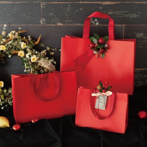 紙手提袋 ギフトレッドハンドル付キペーパーバッグ-2(10枚) ヘッズ