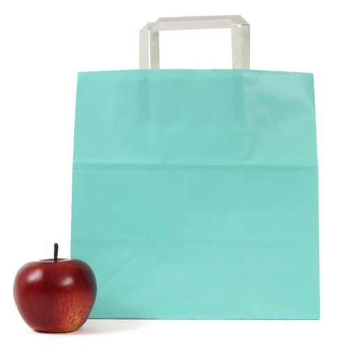 紙手提袋 平紐手提袋 H平26 スカイ パックタケヤマ