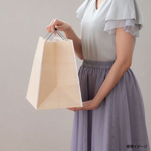 紙手提袋 SSQ-SP シンプルスクエアペーパーバッグ-S 50枚入 ヘッズ