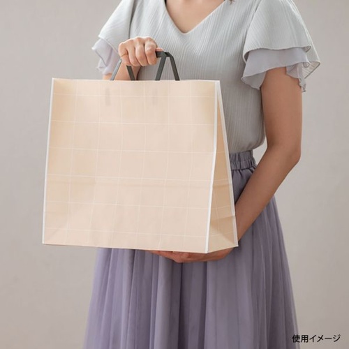 紙手提袋 SSQ-2P シンプルスクエアペーパーバッグ-2 50枚入 ヘッズ