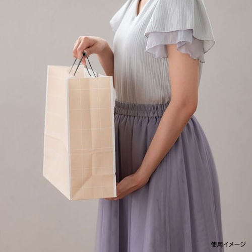 紙手提袋 SSQ-2P シンプルスクエアペーパーバッグ-2 50枚入 ヘッズ