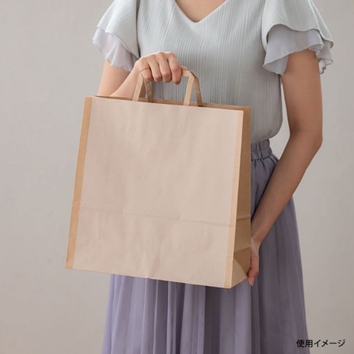 紙手提袋 SIQ-3P シンプルクオリティペーパーバッグ-3 50枚入 ヘッズ