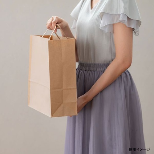 紙手提袋 SIQ-3P シンプルクオリティペーパーバッグ-3 50枚入 ヘッズ