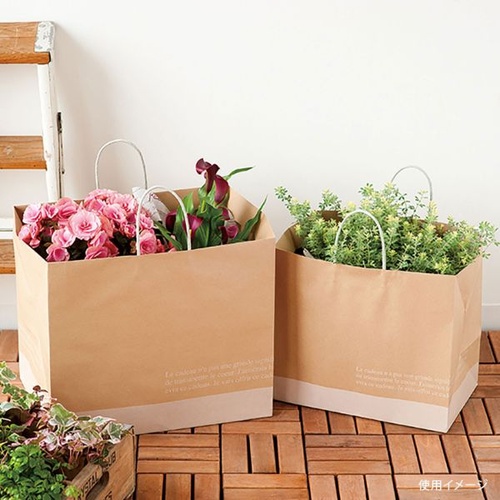 紙手提袋 FR-3P フレンチクラフトペーパーバッグ-3 10枚入 ヘッズ