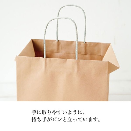紙手提袋 FR-3P フレンチクラフトペーパーバッグ-3 10枚入 ヘッズ
