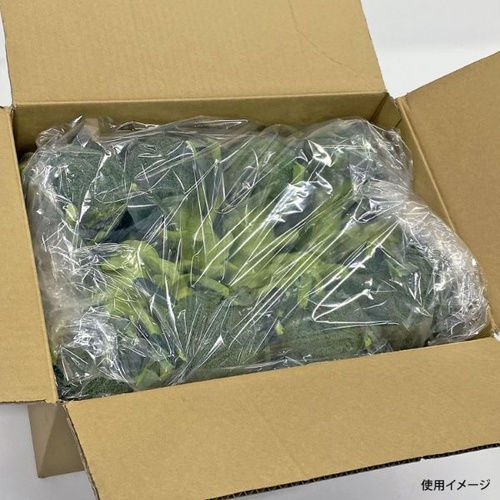 鮮度保持袋 オーラパック大袋7663規格品 ベルグリーンワイズ