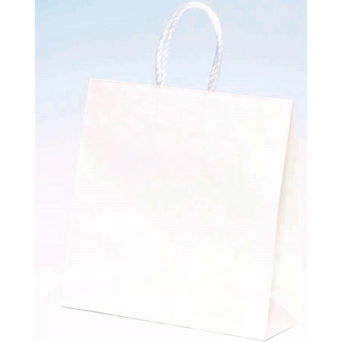 紙手提袋 ST3才 白無地 パックタケヤマ