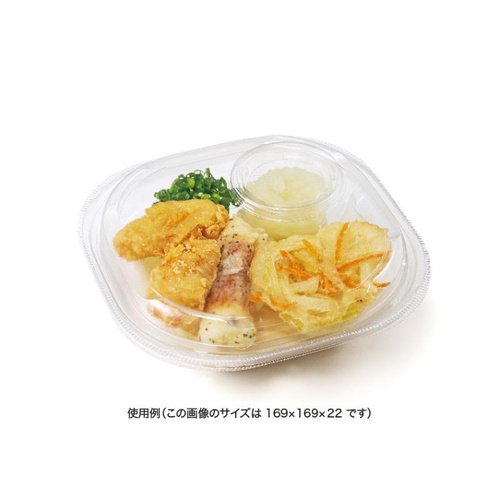 バイオ リーフボウル 21-16 中皿