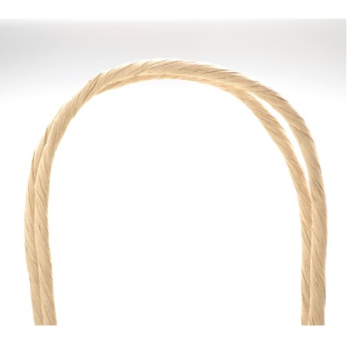 持ち帰り用紙袋 50-5101 手提げ袋 未晒 260×100×310 50P ササガワ