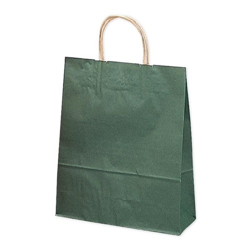 持ち帰り用紙袋 50-5108 手提げ袋 エメラルド 260×100×310 50P ササガワ