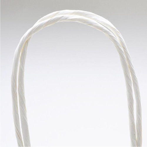 持ち帰り用紙袋 50-5110 手提げ袋 ルネッサンスG 260×100×310 50P ササガワ