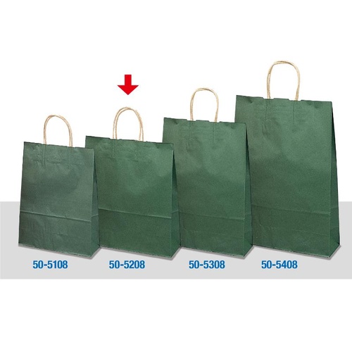 持ち帰り用紙袋 50-5208 手提げ袋 エメラルド 320×110×320 50P ササガワ