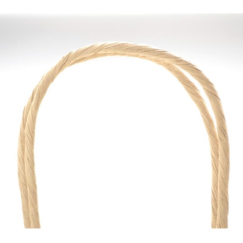 持ち帰り用紙袋 50-5209 手提げ袋 シルバースミス 320×110×320 50P ササガワ