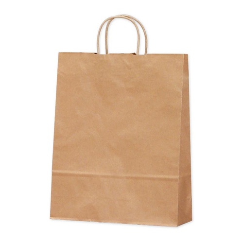 持ち帰り用紙袋 50-5301 手提げ袋 未晒 320×110×400 50P ササガワ