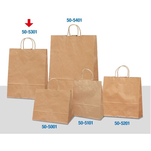 持ち帰り用紙袋 50-5301 手提げ袋 未晒 320×110×400 50P ササガワ