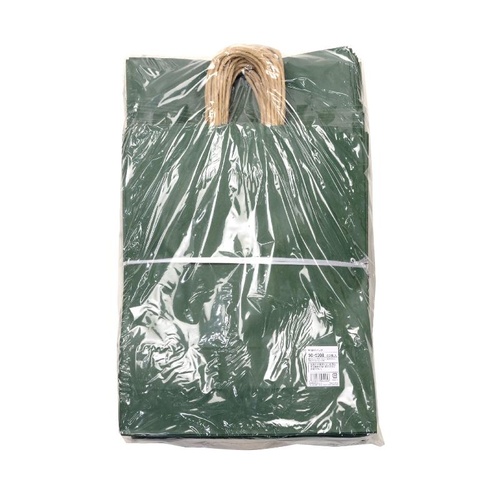 持ち帰り用紙袋 50-5308 手提げ袋 エメラルド 320×110×400 50P ササガワ