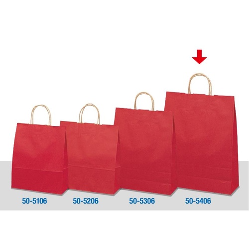 持ち帰り用紙袋 50-5406 手提げ袋 ルージュ 380×150×500 50P ササガワ