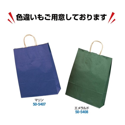 持ち帰り用紙袋 50-5406 手提げ袋 ルージュ 380×150×500 50P ササガワ