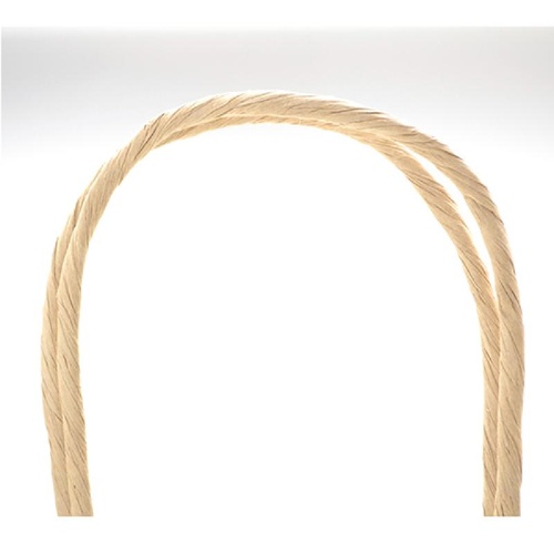 持ち帰り用紙袋 50-5408 手提げ袋 エメラルド 380×150×500 50P ササガワ