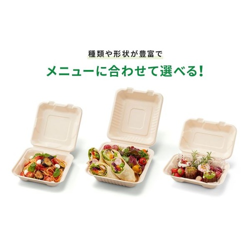 弁当容器 BBランチ 135-115E パックスタイル