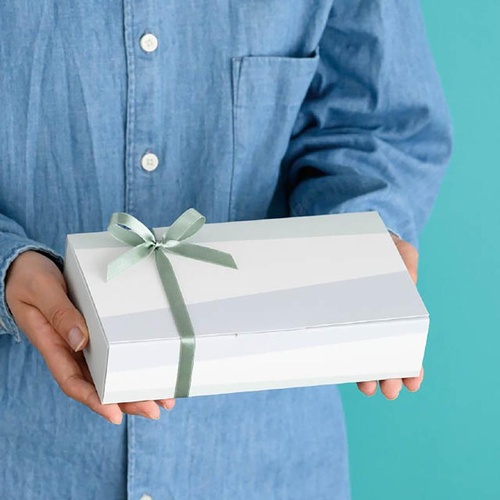 贈答箱 TRC-GLW トライカラーワイド型ギフトボックス-L(20枚) ヘッズ