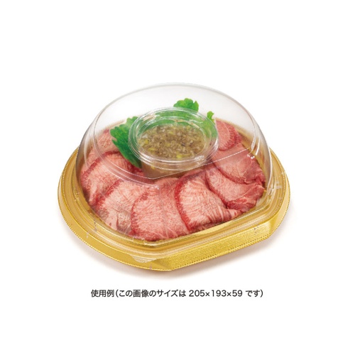 バイオ パティブル丸 20 OCA