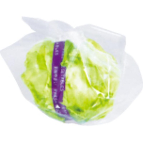 青果用袋 レタス用変形袋 コバヤシ