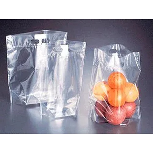 スタンド袋 ハンドパックバイオ1号300×310 ベルグリーンワイズ