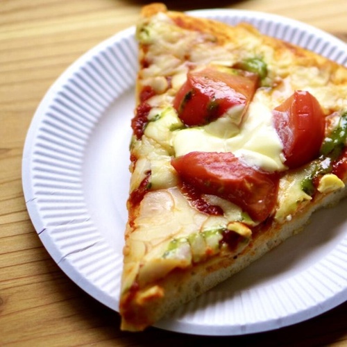 紙皿 スタンダードホワイト 9号 三和紙工