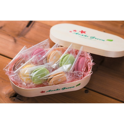 木製容器 ポプラワッパ 小判 アサヒグリーン