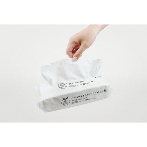 衛生資材 ペーパータオルリサイクル紙 E 小判 パックスタイル